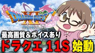 【ドラクエ11S】ドラクエ12に備えて『ドラゴンクエストXI 過ぎ去りし時を求めて S』をウソつき＆買い物縛りでラスボスまで攻略する【DQ11S/Steam版】