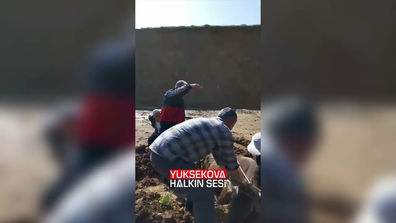 Yüksekova’da çamura saplanan inek kurtarıldı