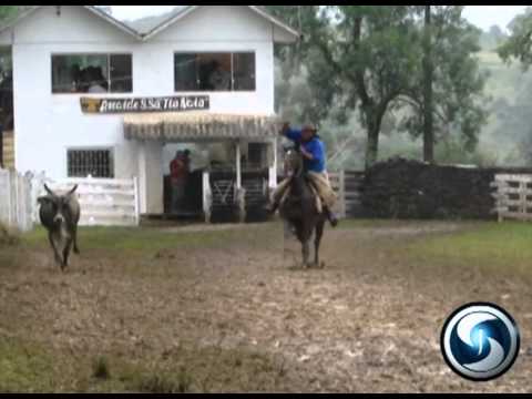 Laçadas Mangueira Velha 2012.