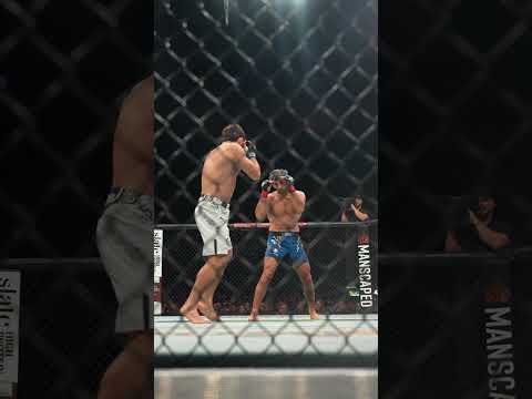 UFC video artwork