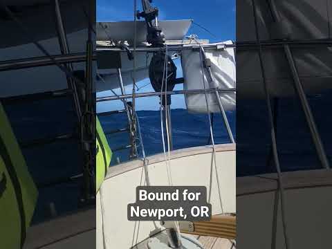 25 kts with 6-8 for waves roughly 50 miles of the coast.  decided to duck into Newport, OR