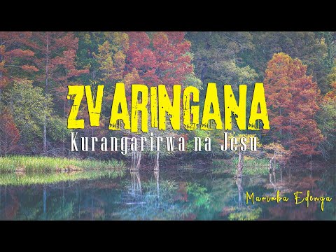 ZVARINGANA KURANGARIRWA BY  MARIMBA EDENGA GOSPEL SINGERS - LED BY BRIGHT GOMBAKOMBA