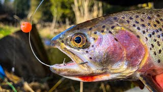 How To CATCH Trout Using MICRO BEADS. (EASY In Depth How To)
