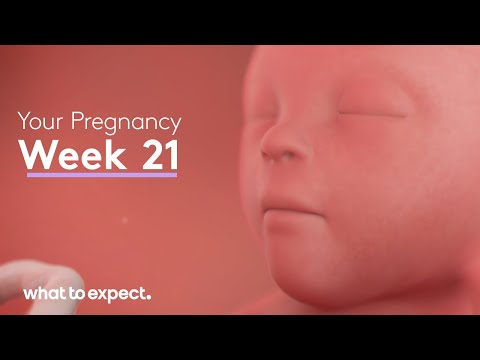 Mother-Baby developments this week (Week 21)
