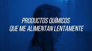 Flower Face - Morphine Dreams // [Sub.Español]