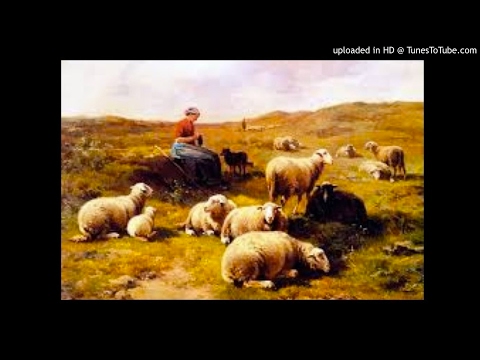 Today's Tango Is... Pastora - Romeo Gavioli