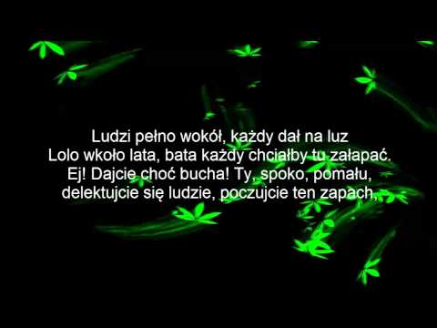 Jasna Liryka-Moja Pani (piosenka+ tekst)