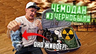 Купил Потерянный Чемодан На Аукционе Из ЧЕРНОБЫЛЯ