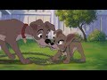 Disney S Lady And The Tramp 0II Scamp S Adventure 2001 An Chapter 003 Rules Rules Rules
