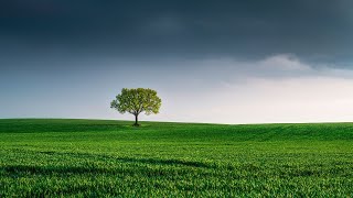 Relaxation Music for Meditation, Study | Music for Meditation, Study | Relaxing Music