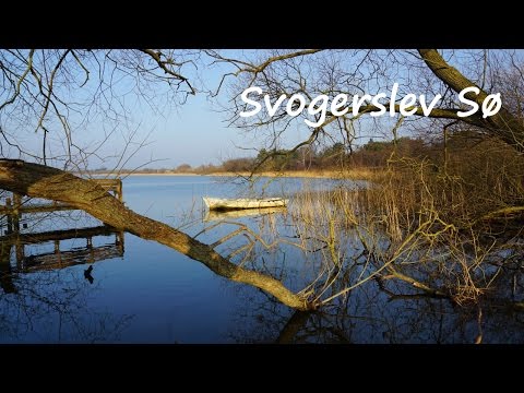 Svogerslev Sø
