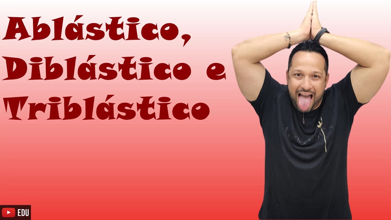 Ablástico, Diblástico e Triblástico - Folhetos Embrionários - Classificação dos Animais/Embriologia