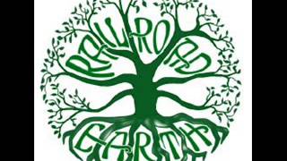 Mighty River by Railroad Earth