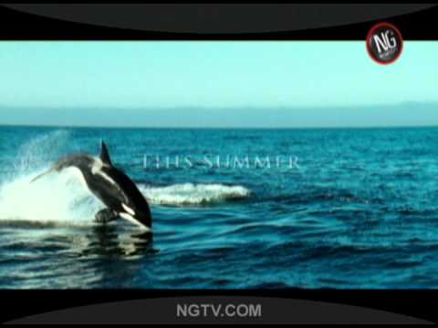 Arctic Tale (2007) Trailer
