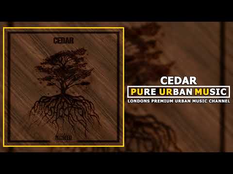 Shocktown - Cedar | Pure Urban Music