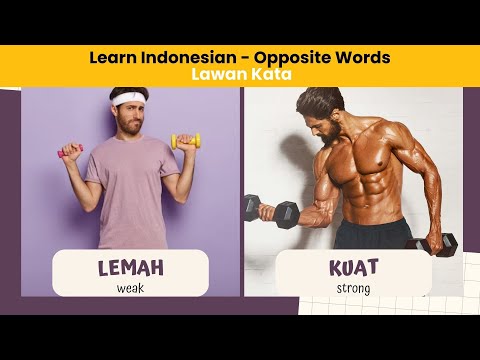 Mastering Indonesian Opposites | Essential Vocabulary for Everyday Conversations | Speaking Practice