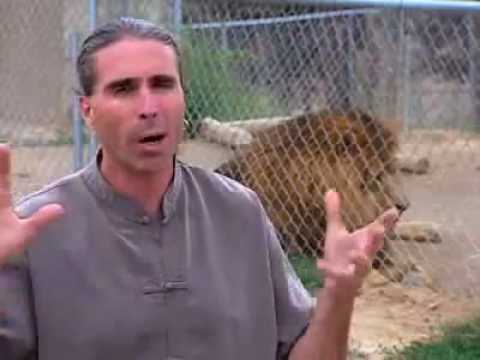 Untamed and Uncut  Lion Attacks Owner