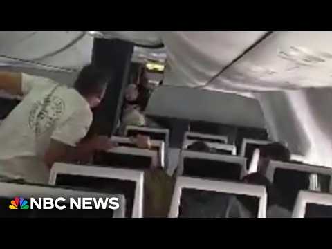 Passengers stop co-pilot’s attempt to crash plane headed for Israel