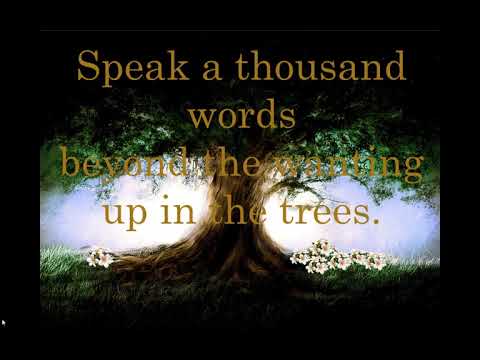 Ruu Campbell   Magic Tree