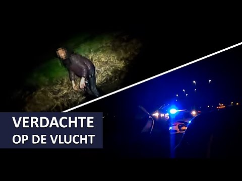 Verdachte op de vlucht en steekt de snelweg over | Politie | TBV en Dienst INFRA