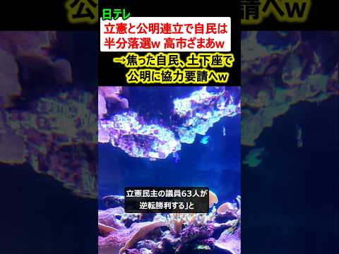 日テレ「立憲と公明連立で自民党は半分落選、ざまあw」→焦った自民、土下座で公明に協力要請へ