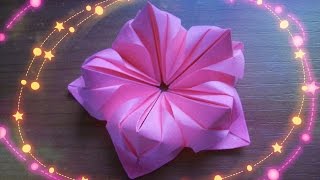 Оригами .Создание объёмных цветов.