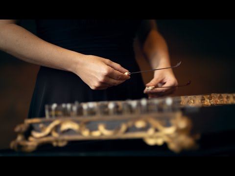 Franziska Fleischanderl & Il Dolce Conforto - Vivaldi's Salterio - Sonata anonima