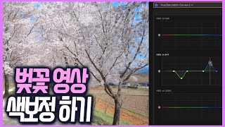 벚꽃 영상 색보정 하기 - Final cut Pro X