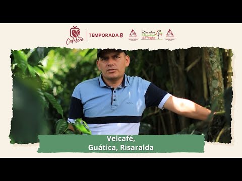 Velcafé, Guática, Risaralda