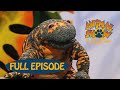 Animal Show Gila Monster Kanagroo Rat Desert Rat Jim Henson Family Hub
