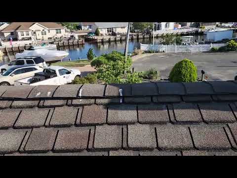 Safely Keeping the Birds Away with Bird Spikes in Lanoka Harbor, NJ