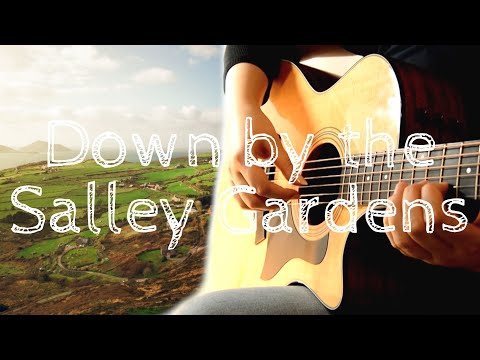 Celtic Guitar | Down by the Salley Gardens | Fingerstyle Guitar
