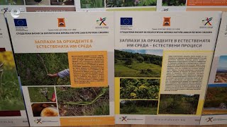 Екопроект на община Смолян популяризира дивите орхидеи в Родопите