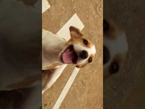 That is my son kekely