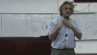 37- Dr.Hussein Khairy - "Raw areas (plastic surgery ) "