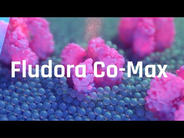 Floradora Co-Max EW Mosquito Control Insecticide 1 Liter