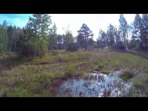 Přírodní památka Na Plachtě