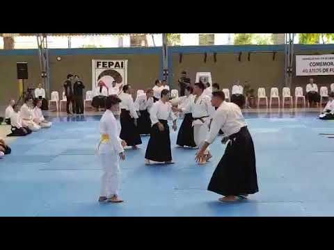 40 anos de FEPAI. Aikido Davi lubos