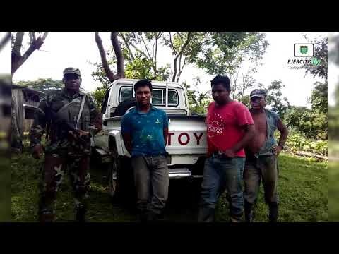 Ganado recuperado a elementos abigeos en el municipio de El Ayote" 5 CMR.