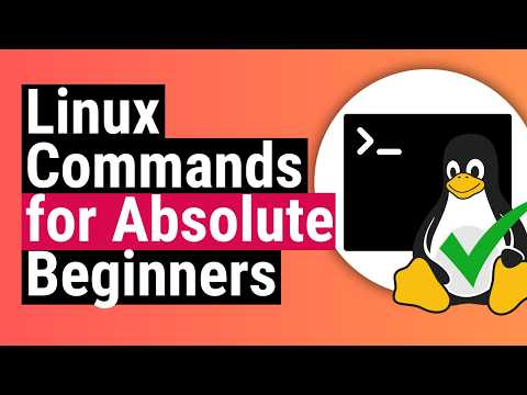 Most Useful Linux / Server Commands for Beginners