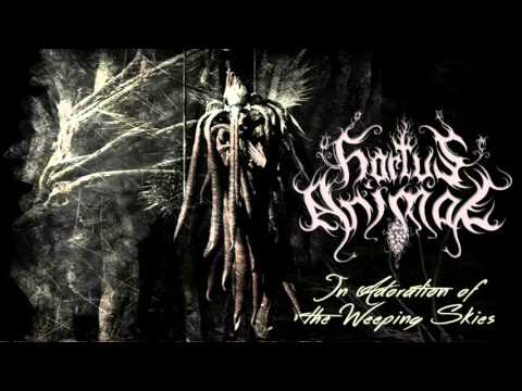 Hortus Animae - In Adoration of the Weeping Skies