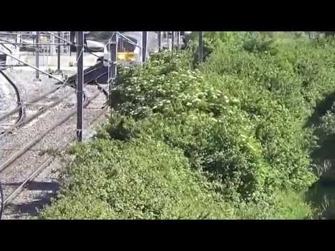 Enterprise,  DVT 9004 & Loco 228 - Clongriffin -  09/06/15