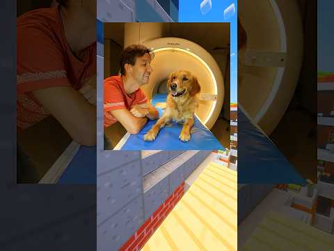 Czy Twój Pies Na Pewno Cię Kocha? 😱