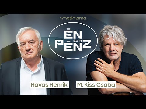 Havas Henrik: Mondtam, hogy ingyen nem jövök!