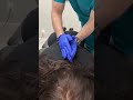 Her First Ever Mid Back Cracks Were INSANE KING OF CRACKS Kingofcracks Chiropractor Asmr