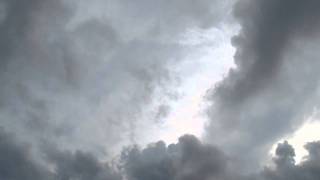 Somatic Responses - Umbrella