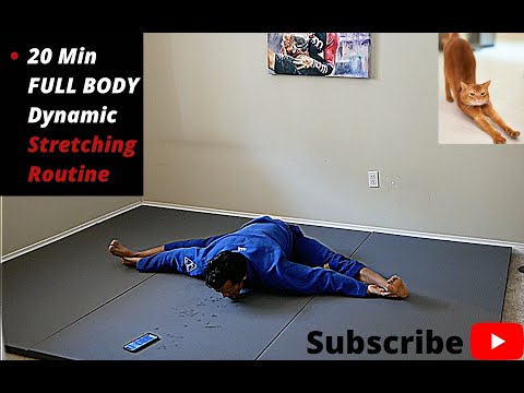 20 Min Full Body Dynamic Stretching Routine | COBRINHA BJJ