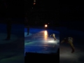 Went To Disney On Ice And Woody Fell Over