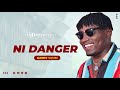 DANNY VUMBI - NI DANGER (Official Audio)