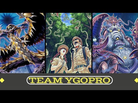 *YUGIOH* TOO STRONG! Ogdoadic Budget Replays & Deck list (Description) November 2023